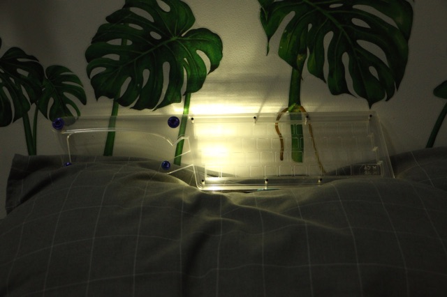 , acryic case, keyboard case, vỏ bàn phím hình thanh kiếm