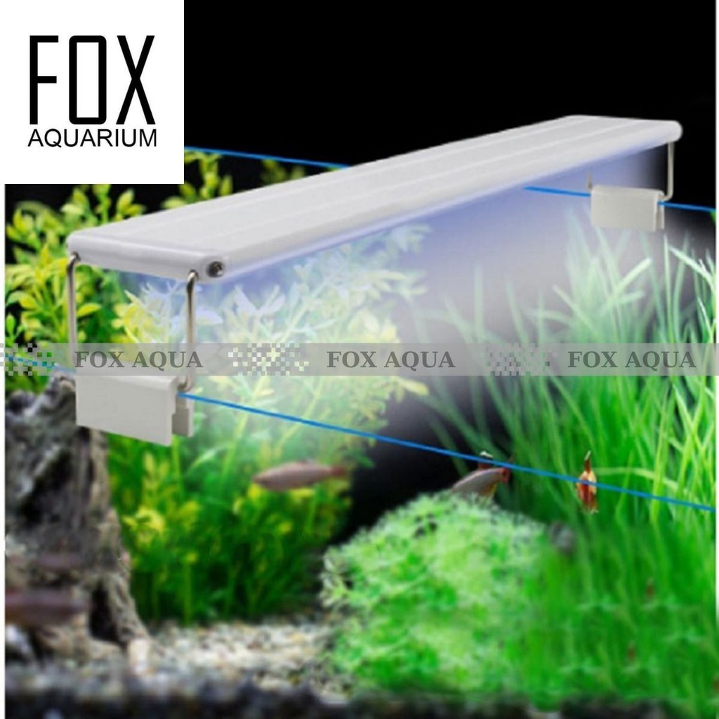 Đèn Led 3 Chế Độ Màu Gác Thành Bể Cá, Bể Thủy Sinh 30cm, 40cm, 50cm
