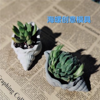 Chậu cây xi măg hình vỏ ốc