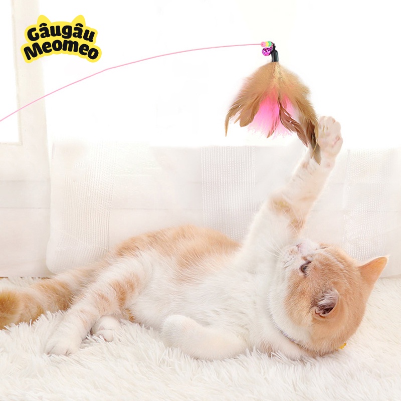 Đồ chơi cho mèo đuổi bắt Dây chuông vui nhộn