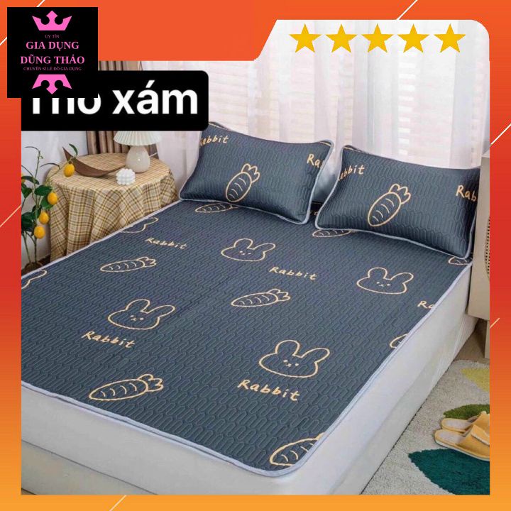 CHIẾU ĐIỀU HÒA TENCEL LATEX, GA ĐIỀU HÒA CAO SU NON IN 3D SIÊU MÁT
