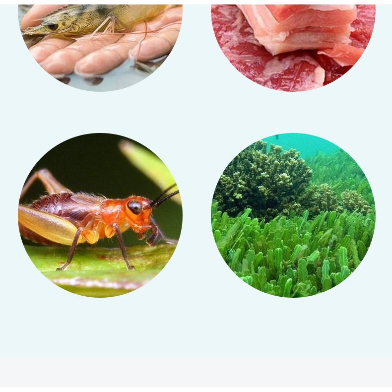 Thức ăn rùa nước JOSANTY 600ml - phụ kiện bò sát - shopleo