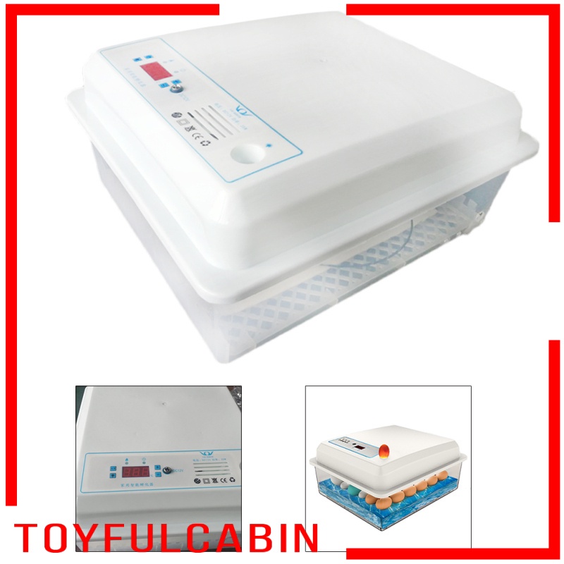 Máy Ấp Trứng Kỹ Thuật Số Tự Động Điều Khiển Nhiệt Độ