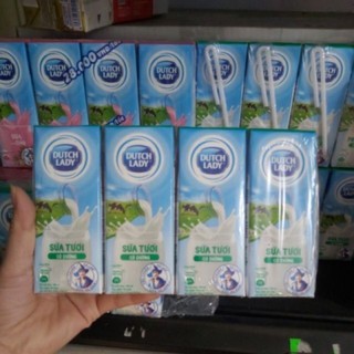 Combo 2 Lốc 8 hộp sữa tươi có đường Cô gái hà Lan 180ml