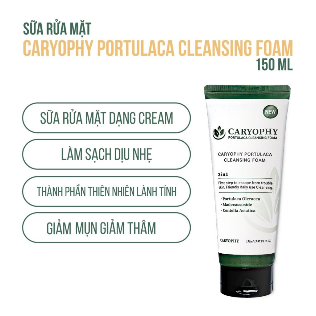 Combo 2 Sản Phẩm Tẩy Tế Bào Chết Và Làm Sạch Da Ngăn Ngừa Mụn Caryophy (Sửa Rửa Mặt 150ml + Tẩy Tế Bào Chết 250ml)