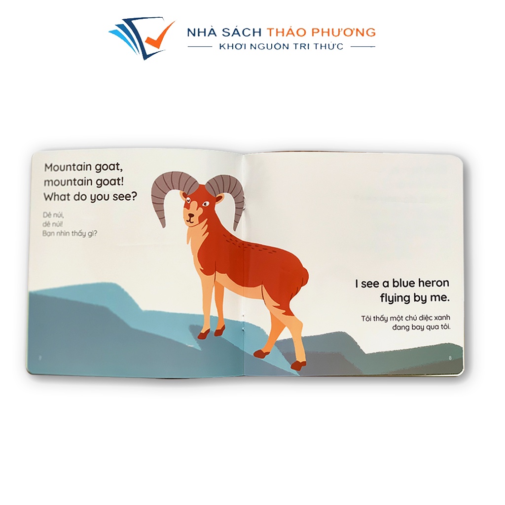 Sách - Truyện song ngữ Anh - Việt - Gấu Bắc cực, Gấu nhỏ, Gấu trúc, Gấu nâu (bộ 4 cuốn)