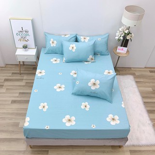 6.GA GỐI LẺ COTTON LỤA ( ẢNH SHOP TỰ CHỤP)