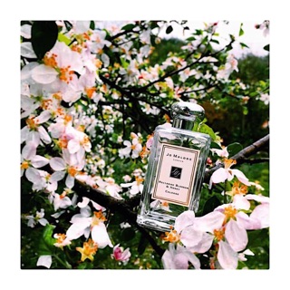 ✨𝐓𝐢𝐞𝐦𝐧𝐮𝐨𝐜𝐡𝐨𝐚✨ nước hoa nectarine blossom honey jo malone 10ml ✨