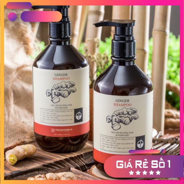 Combo Dầu gội và dầu xả gừng tươi nguyên chất 100%