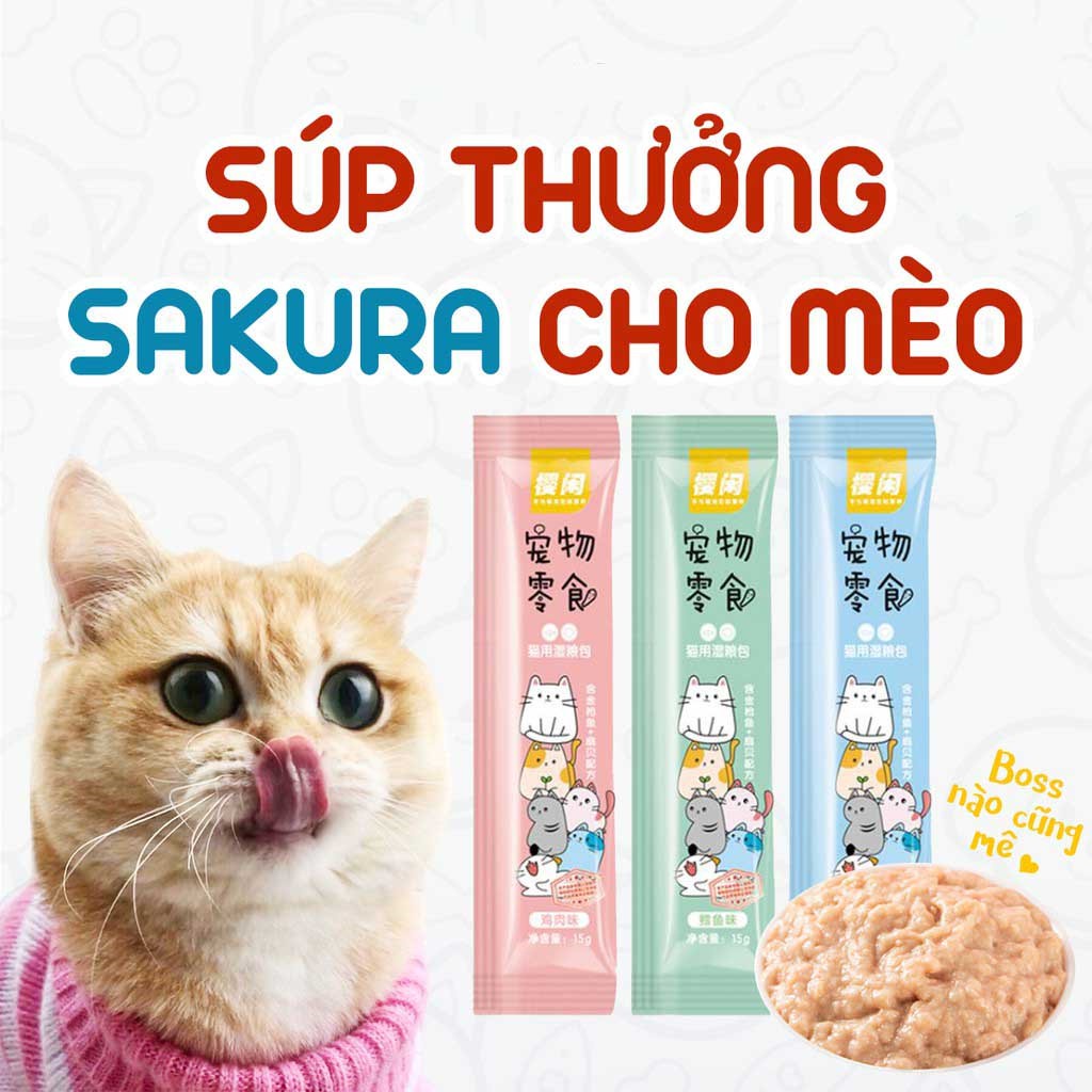 Combo 10 thanh súp thưởng giá rẻ - Shizuka