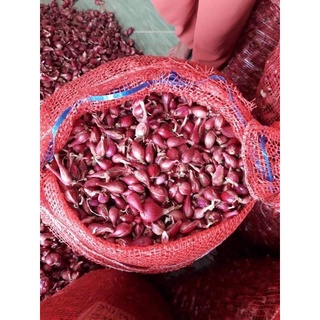 hành tím, hành khô củ nhỏ.(1kg)