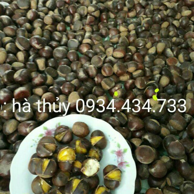 2KG hạt dẻ sống/dẻ tươi ngon cơm vàng bở hạt to