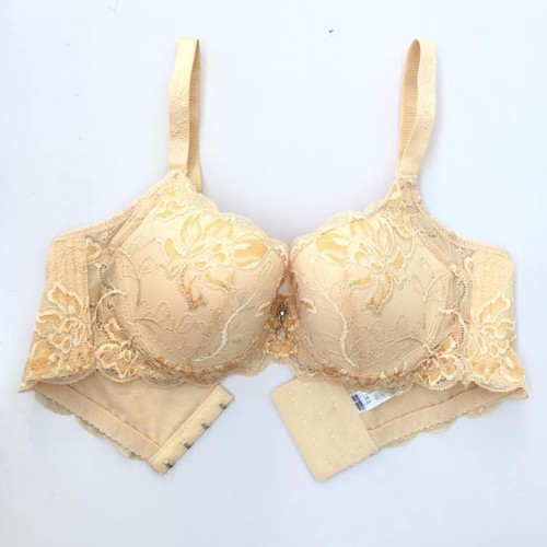 Áo ngực ren đệm mỏng , Áo lót có gọng cho người có vòng 1 to bản 4 móc cho người béo không gian eva