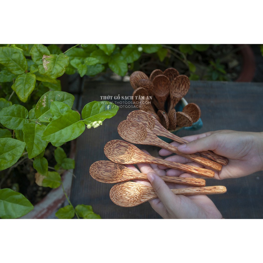 Chén Dừa, Muỗng Dừa Thân Thiện Môi Trường | BigBuy360 - bigbuy360.vn