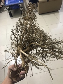 Lũa Xương Chùm 100g/35k 1kg
