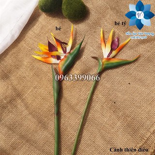 Hoa Giả 🌺 Hoa Thiên Điểu Cao Su