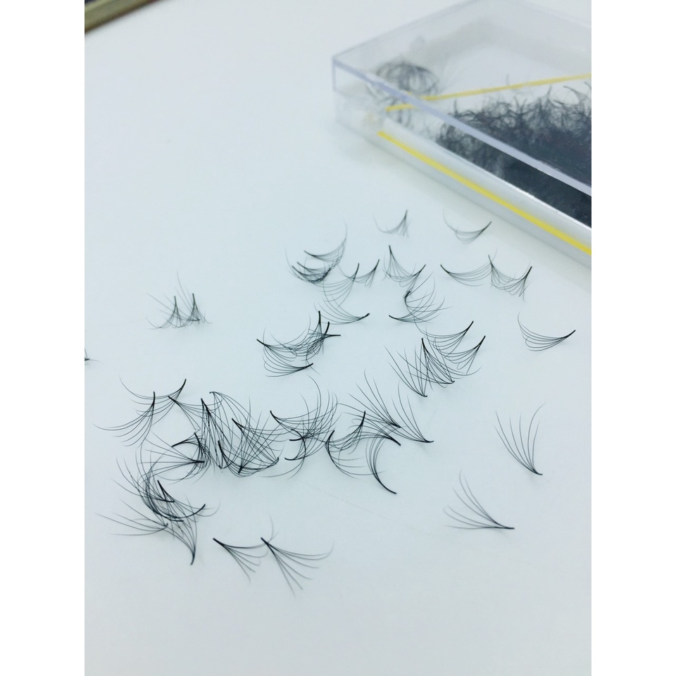 Mi Fan 6D SOLE dày 0.07 - MI CAMELIA 6D - Dụng cụ nối mi - Mi giả - Be Lash