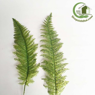 Lá  dương xỉ Nhật lớn - lá cây trang trí - phụ kiện lá cây chụp hình ảnh sản phẩm [ dài 50cm x rộng 11cm ]