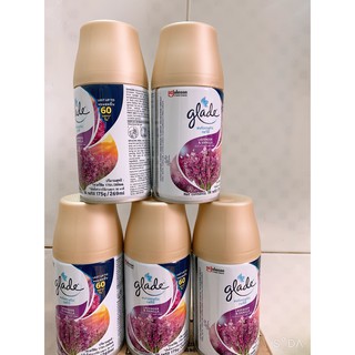 Bình xịt thơm phòng tự động Hương Lavender Vani GLADE Thái Lan