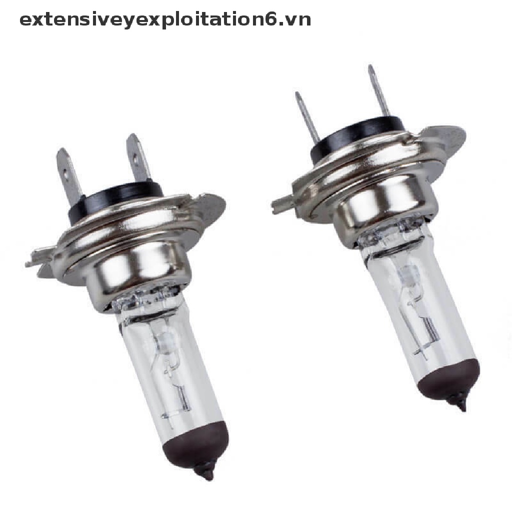 Bóng đèn pha Halogen E6VN / 9005 9006 H1 H3 H4 H7 H11 HB3 chuyên dụng cho xe hơi