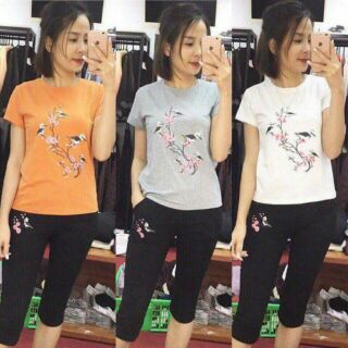 Bộ thể thao