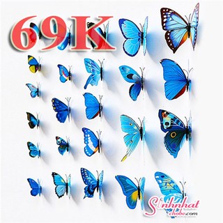 Combo 18 Bướm 3D trang trí phòng khách cực đẹp