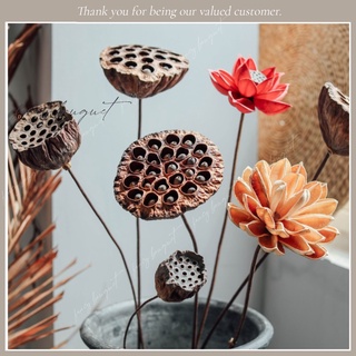 Đài hoa sen khô tự nhiên ❤️FREESHIP❤️ 4 Mẫu Đài sen trang trí decor