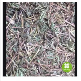 Cây xấu hổ (mắc cỡ) - 1kg khô FRV145