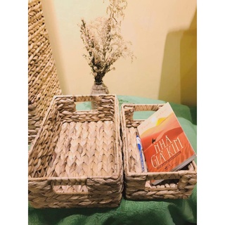 combo Bộ 3 lục bình