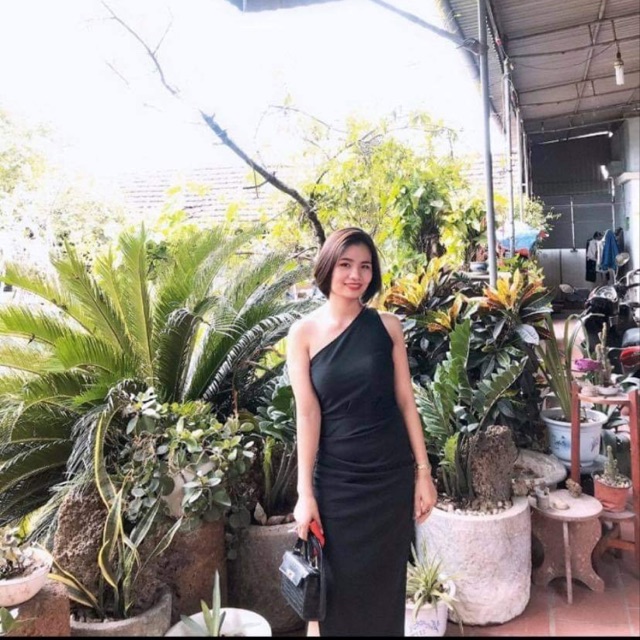 KHO SỈ HIỆP. MÈO