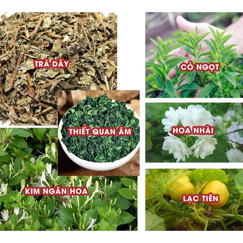 Trà Hoàng Thảo Mộc giúp Thải độc, Thanh nhiệt, giúp Ngủ ngon, Tốt cho người dạ dày