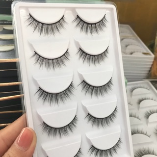 Mi chồn 5 cặp t12,137,107