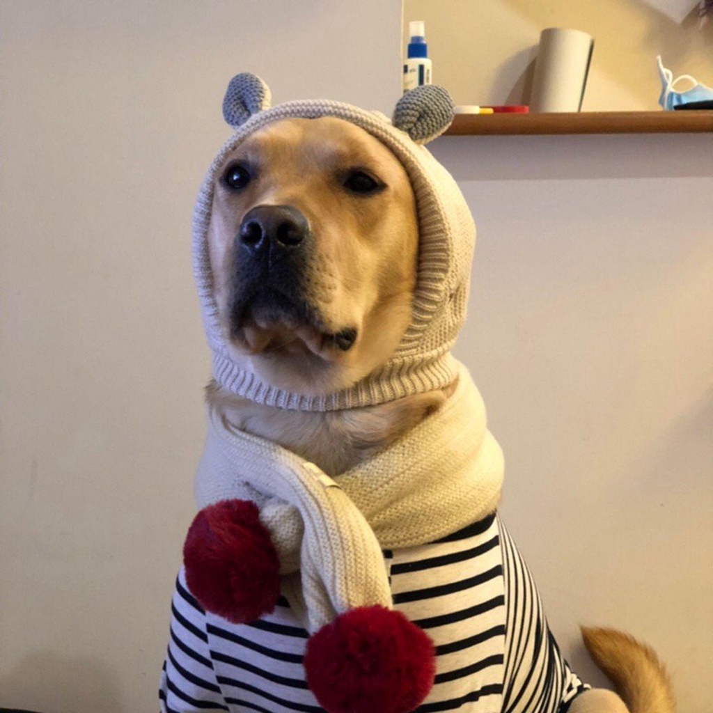 Mũ Len Beanie Phong Cách Giáng Sinh Cho Thú Cưng