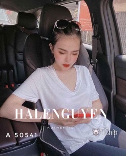Áo thun cổ tim basic 🔥🔥🔥y
