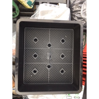 Khay/Chậu nhựa TRỒNG RAU MẦM D42 x R38 x C11cm
