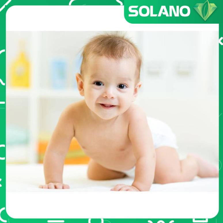 Miếng chắn khe cửa chống va đập SOLANO chặn cửa ra vào cửa sổ chống ồn đa năng hình lá HG-001183