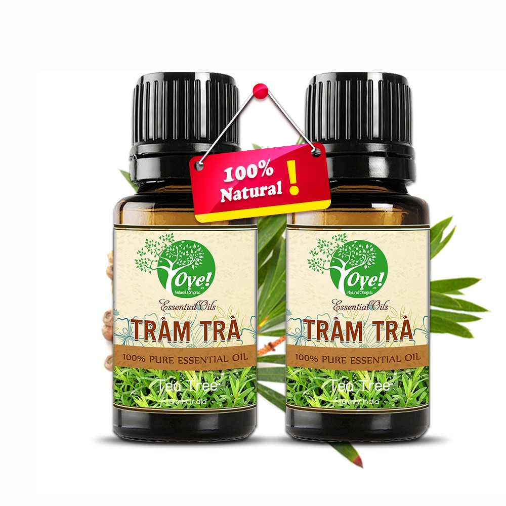 Tinh Dầu Tràm Trà 50ml Nguyên Chất