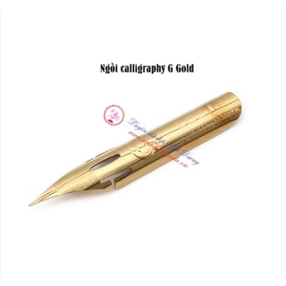 Ngòi Calligraphy - Gold