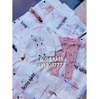 Bộ nỉ legging bé gái thỏ bunny tai cụp pr