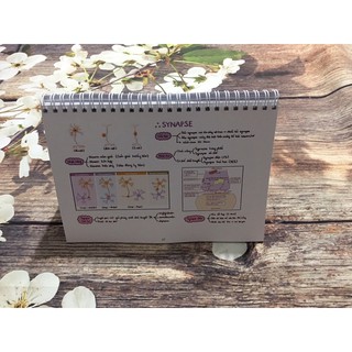 Pocket Mô học// Pocket Histology