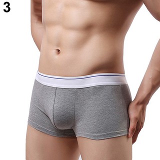 Quần lót boxer cho nam