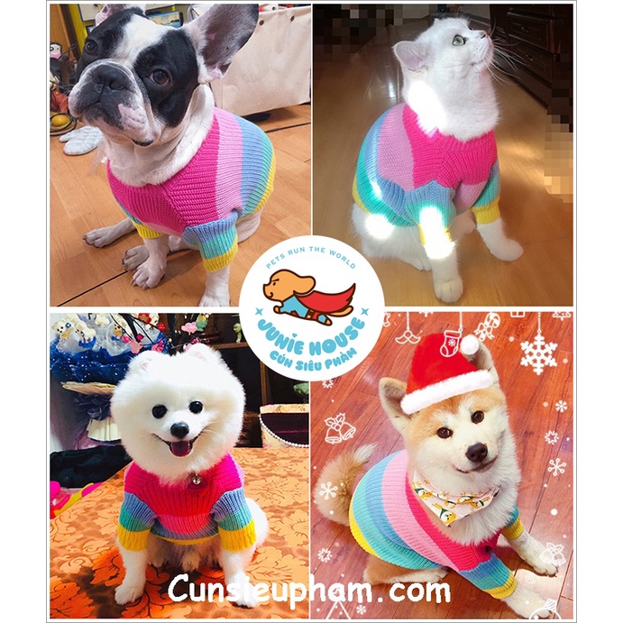 Áo len Tết 7 màu xinh xắn cho chó lớn
