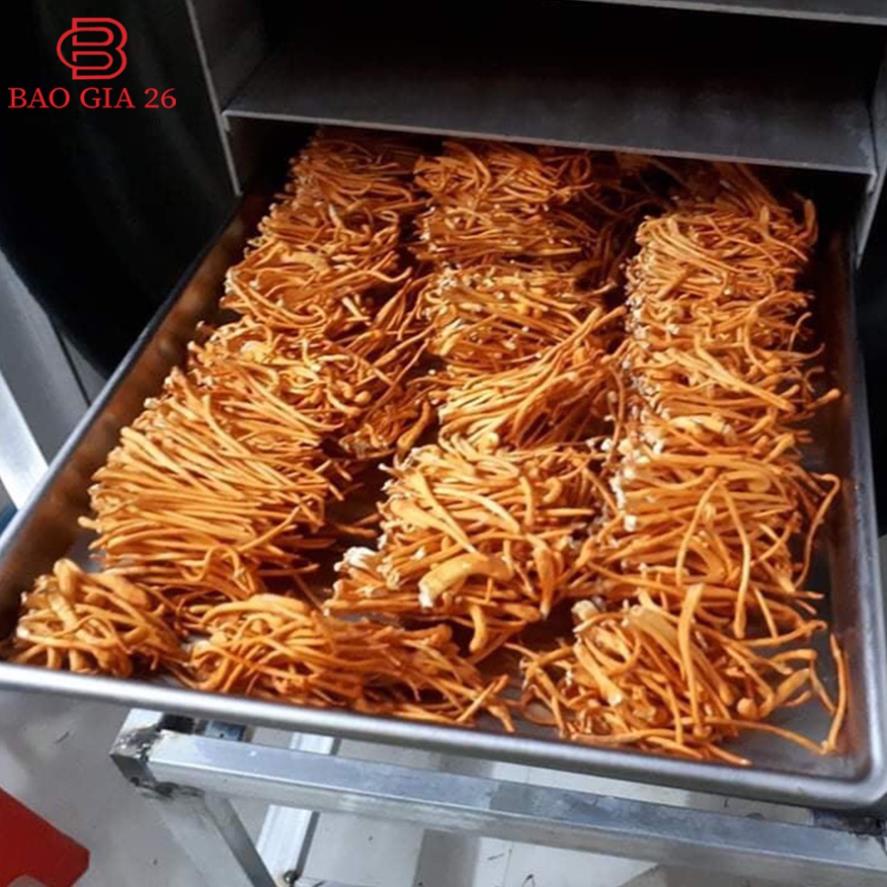 20g Đông trùng hạ thảo loại 2 - Sấy thăng hoa