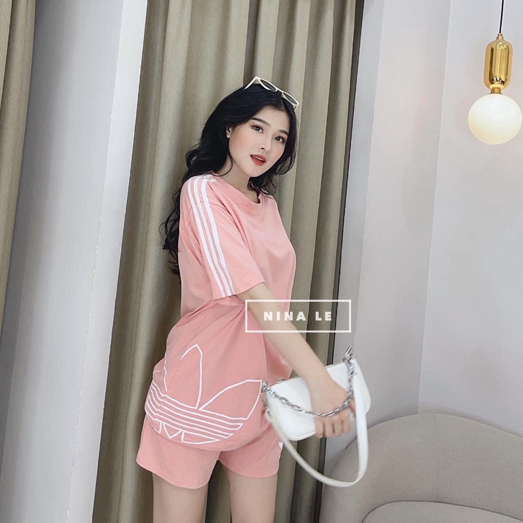 BỘ COTTON ĐÙI PHỐI 3 LÁ HÔNG ÁO BẢNG 4 MÀU CHO NỮ