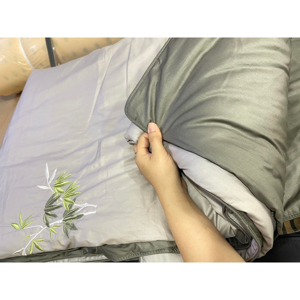 Bộ Drap chun chần EVERON MDSC084