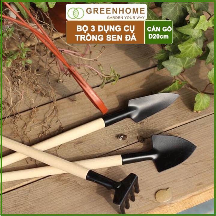Dụng cụ làm vườn mini, 3 món, tiện lợi, chuyên dụng trồng Sen đá, cán gỗ |Greenhome