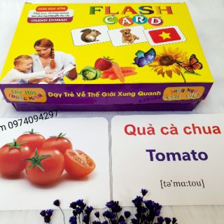 Bộ thẻ FLASH CARD thế giới xung quanh loại lớn