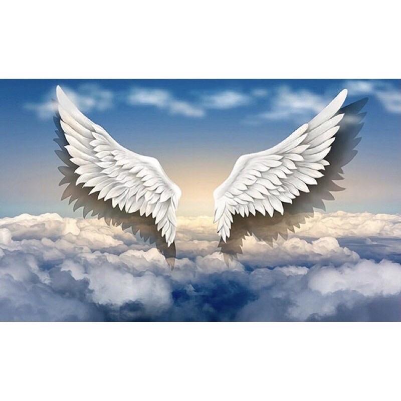 Tranh dán tường 3D đôi cánh thiên thần nhiều kích thước có keo dán sẵn