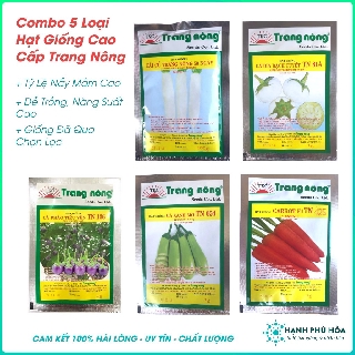Bộ gói hạt giống Cà pháo(cà bát) (cà trứng) xanh