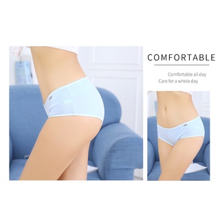 Combo 10 Quần Lót Nữ Cotton Pulo